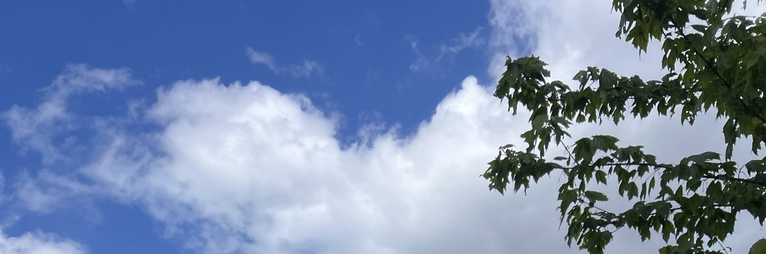 AngelaKimwugh's profile banner image