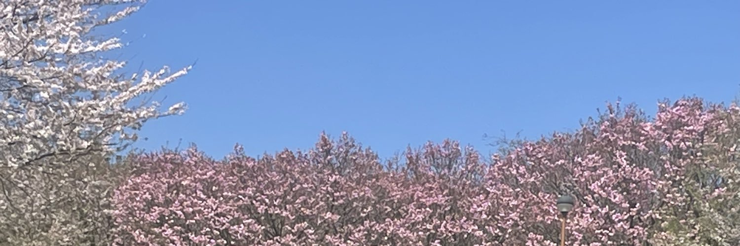 hr__yn09's profile banner image