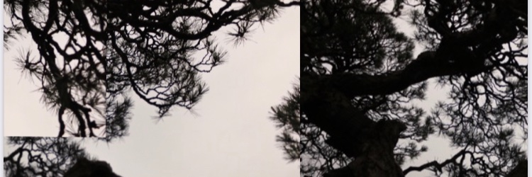HIROKILOTON's profile banner image