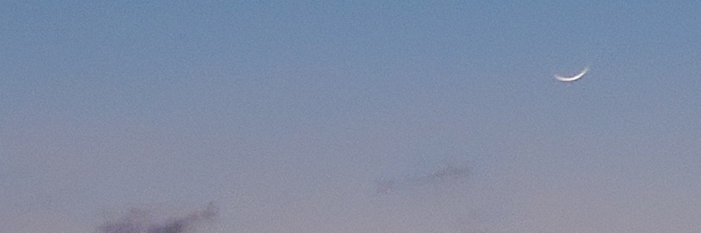 torara8_2's profile banner image