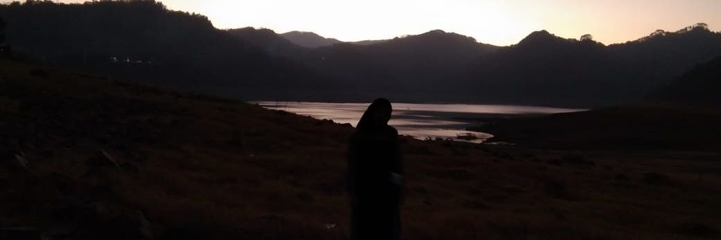 Hellopuput's profile banner image