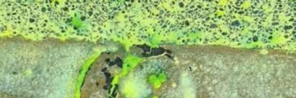 lscanlon Profile Banner