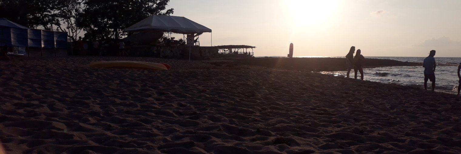 Katniss EverNadine banner