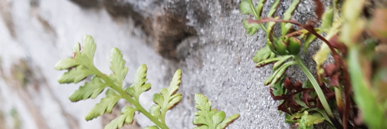 MorrisHelix's profile banner image