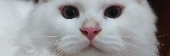 iyankrn's profile banner image