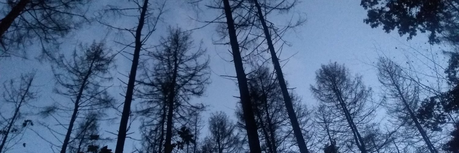 Judit Fazekas banner