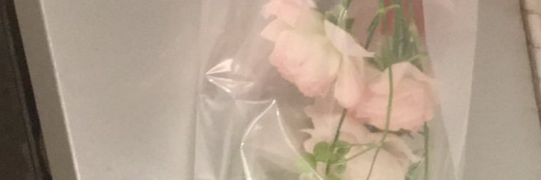 _haruchamu's profile banner image