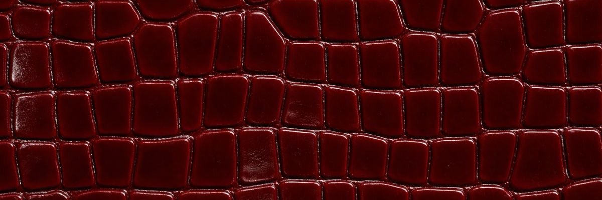 bluelil4cs's profile banner image