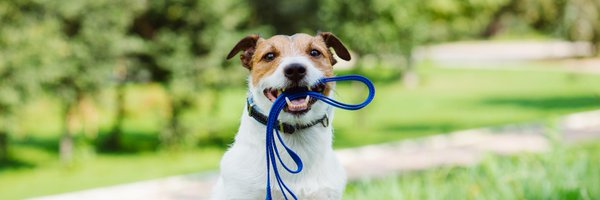 petsense Profile Banner