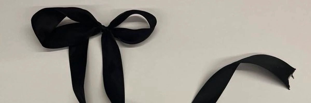 lua banner