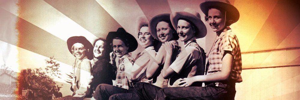 newhillbillycom's profile banner image