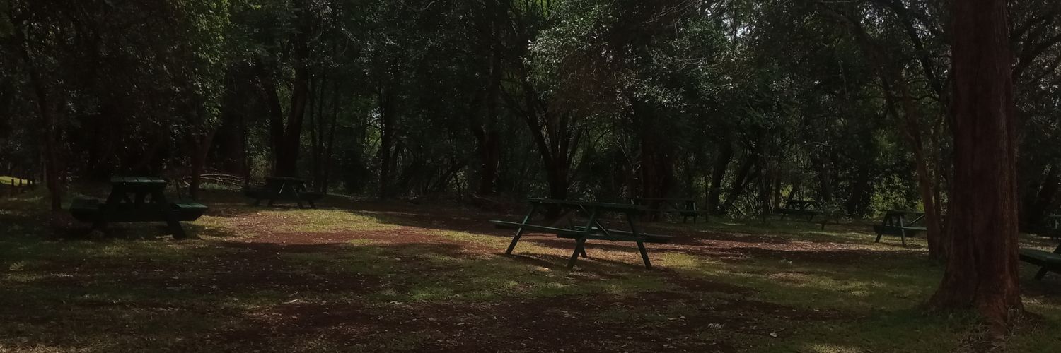 carllexicalmind's profile banner image