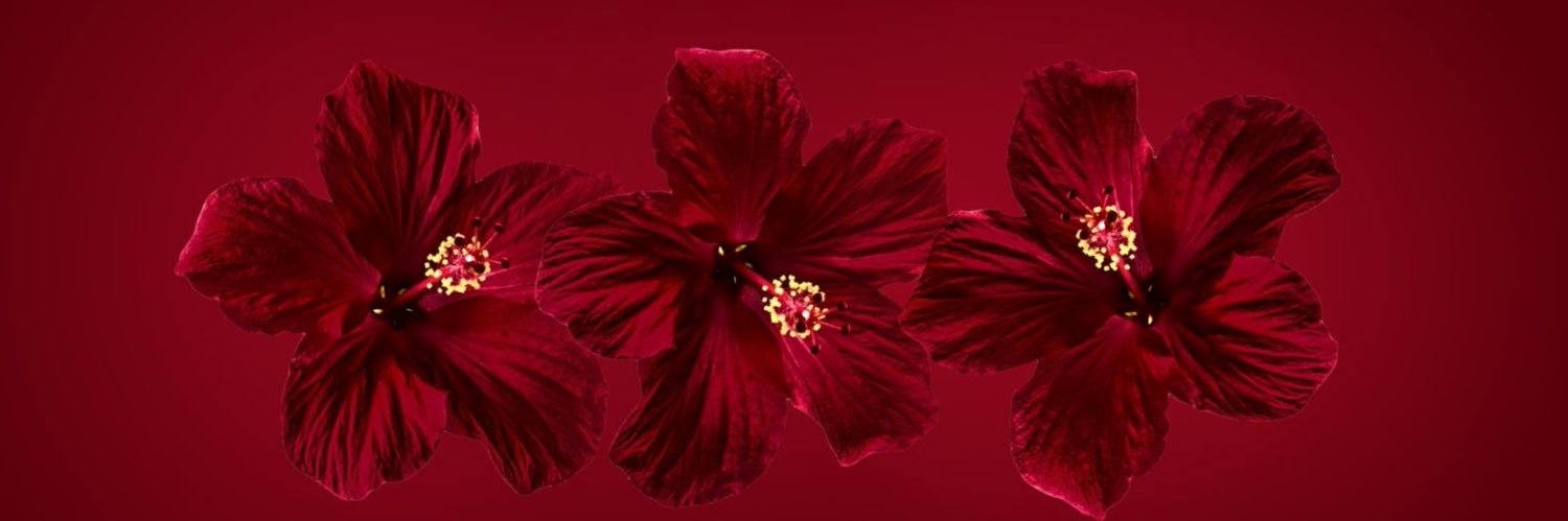Anasogoodd's profile banner image