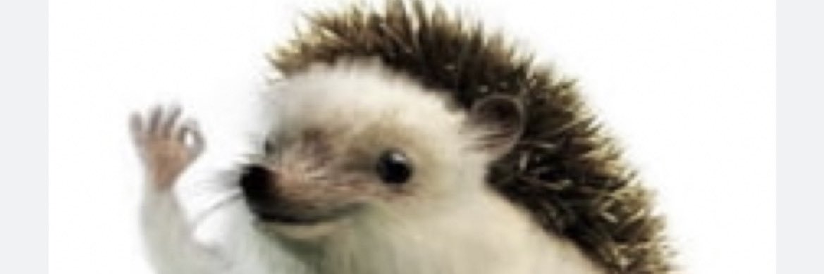 berry_tesla's profile banner image