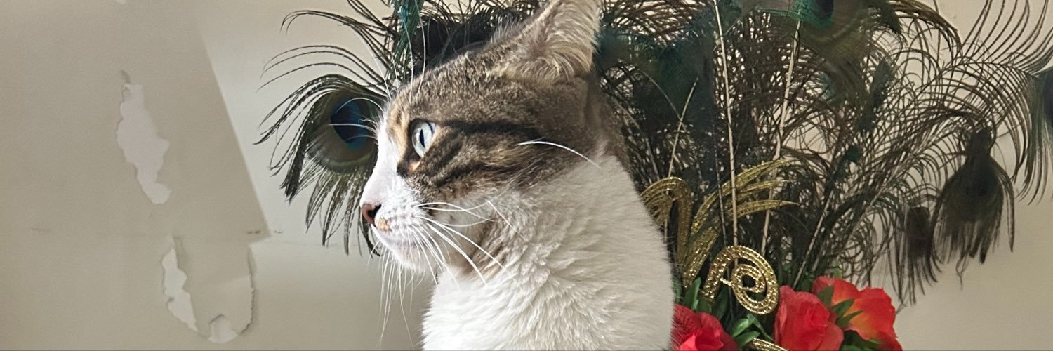 margaritazul22's profile banner image