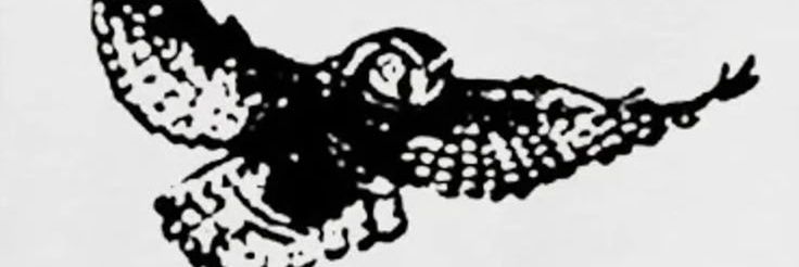 hanatarash0's profile banner image