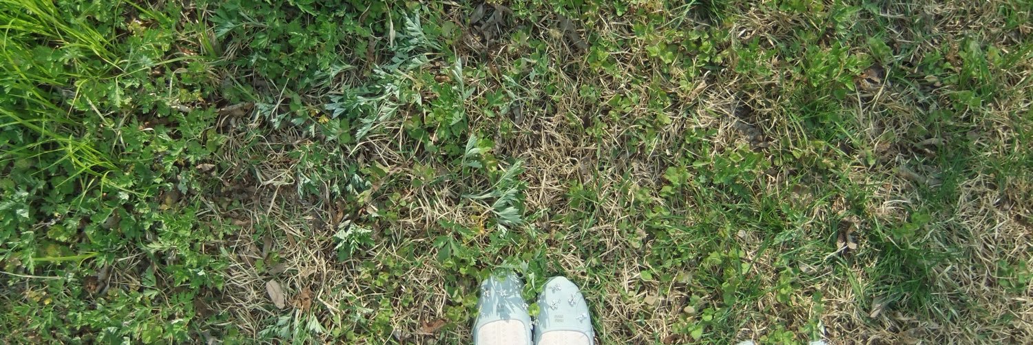 chlie907's profile banner image