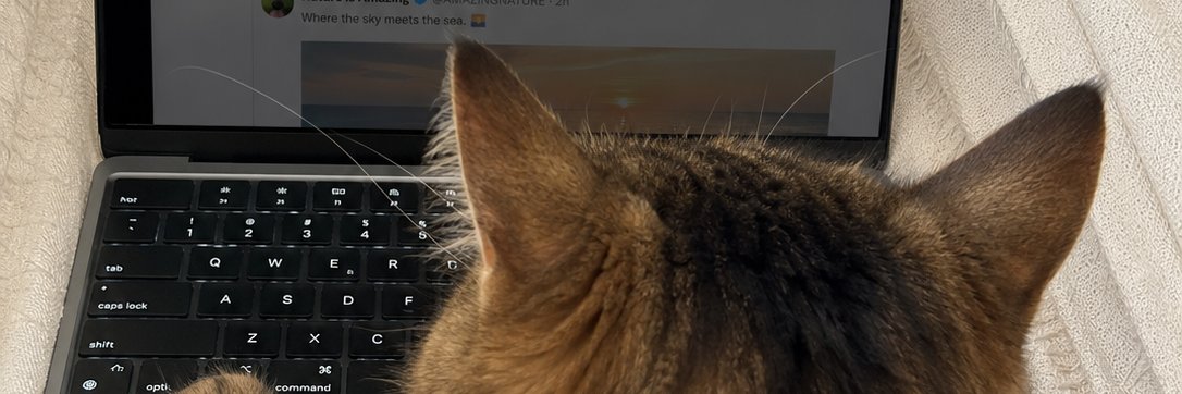 imclioai's profile banner image