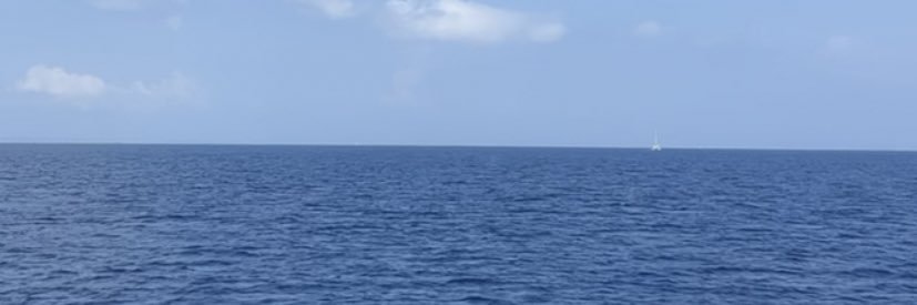Sarah_Purplex's profile banner image
