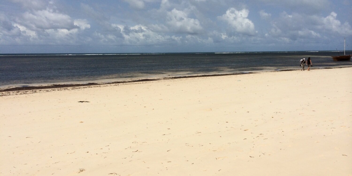 Rachael Akidi banner