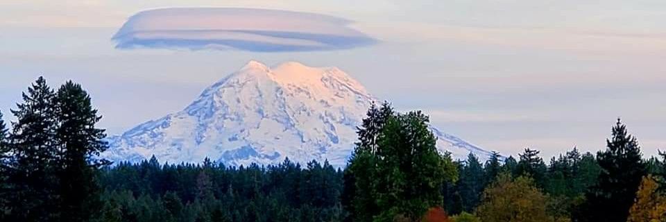 Tim Mansfield banner