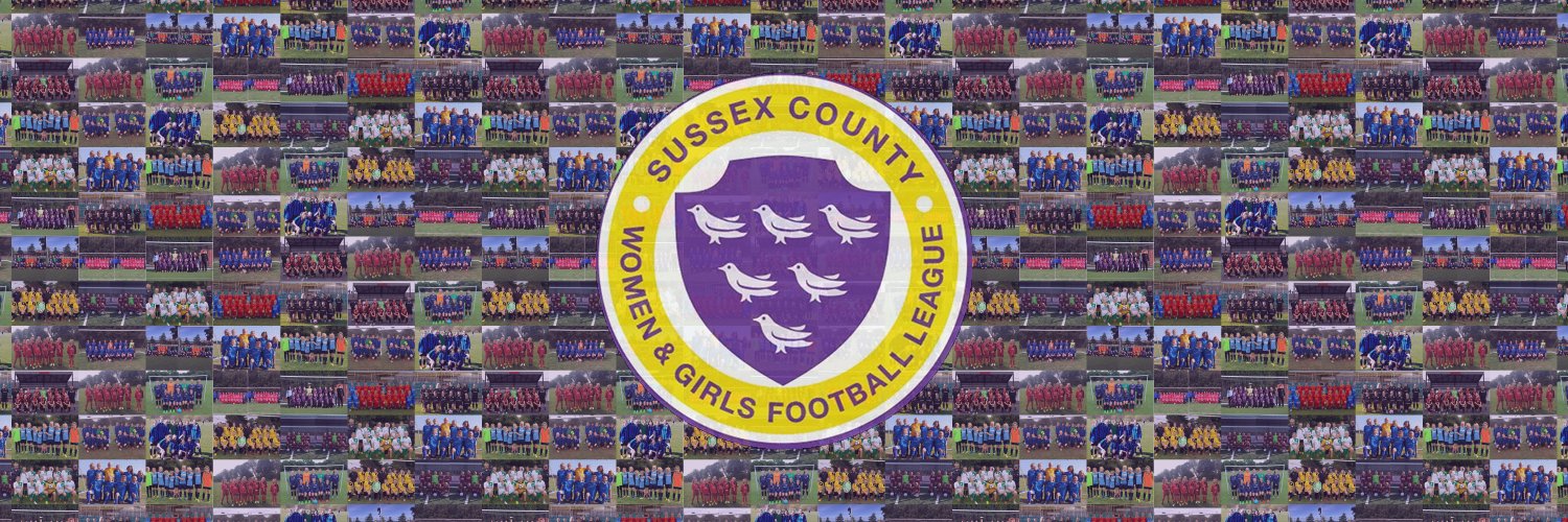 SCWGFL banner