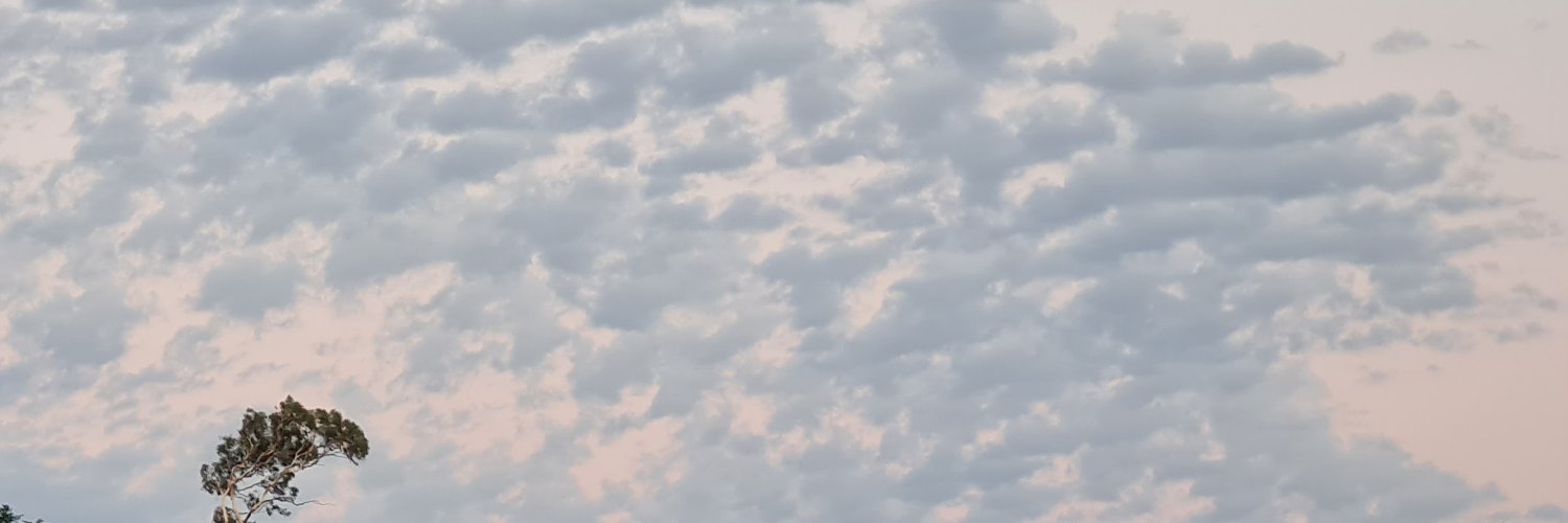 softzoi's profile banner image