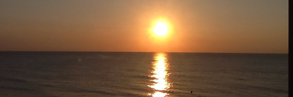 Mir_I_am99's profile banner image