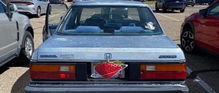 esotericcoochie's profile banner image