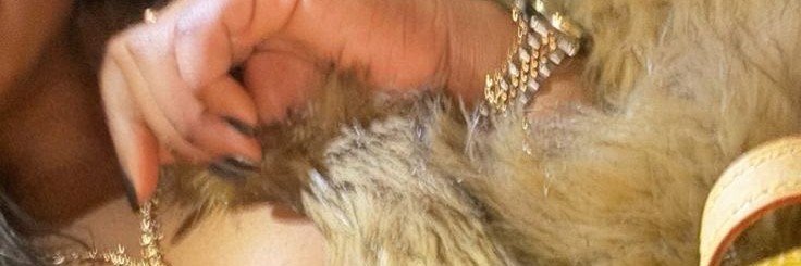 CynSaiditX's profile banner image