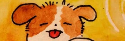 isabebsh's profile banner image