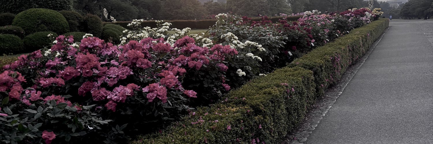 tgr_rose's profile banner image