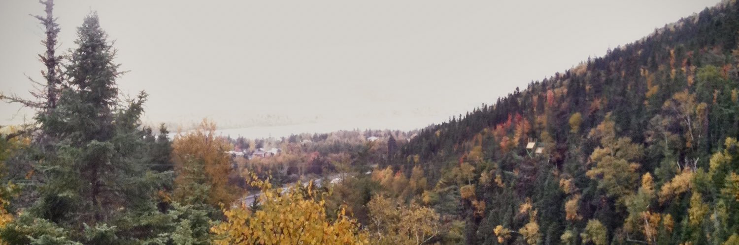 thisisbobby's profile banner image