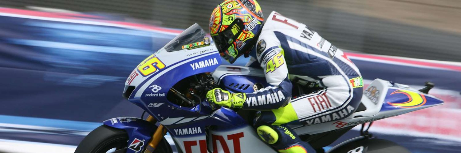 Sally Finestone banner