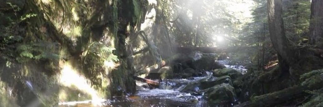 blbrychscake's profile banner image