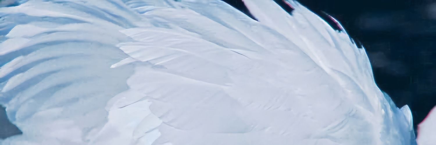odetteslove's profile banner image