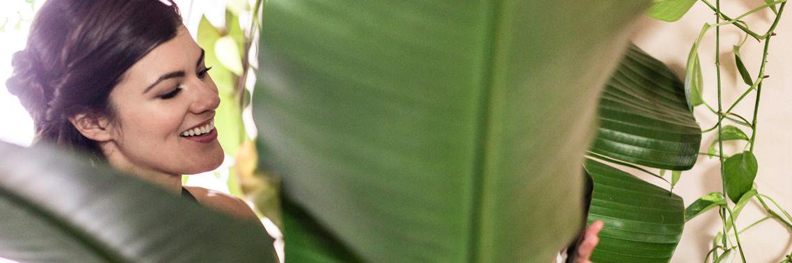 Summer Rayne Oakes banner