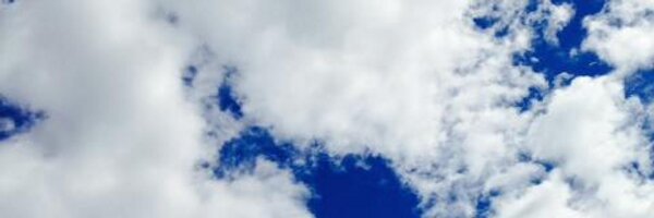 deborah_levine Profile Banner