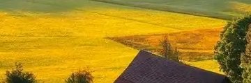 r_lashkari94's profile banner image