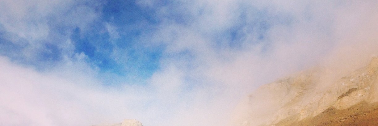 lioness_b's profile banner image