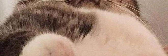 SusanRoberwa's profile banner image