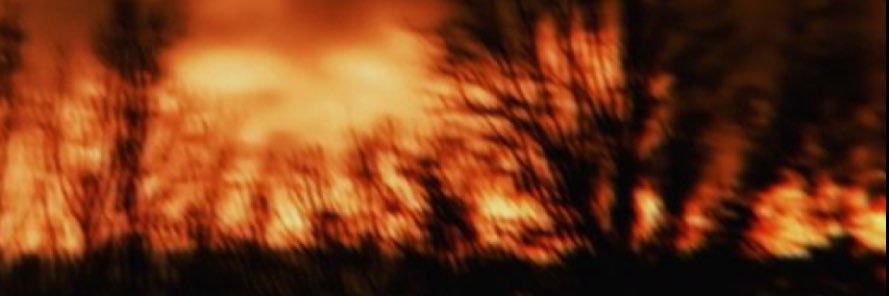 septicmm's profile banner image