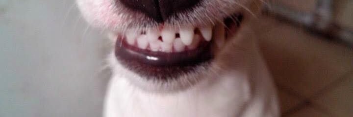 KevinRobinxe's profile banner image