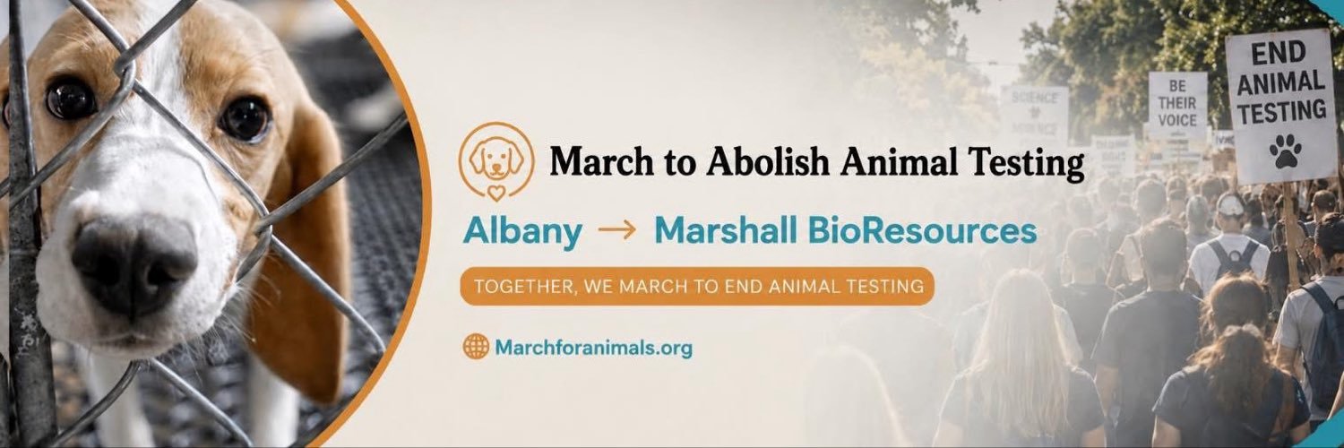 MarchForAnimals's profile banner image