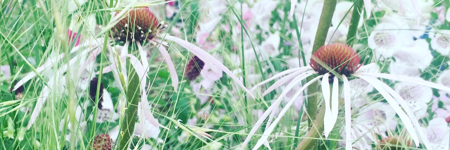 nellgriffiths's profile banner image