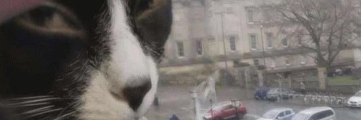 MichaelNguywws's profile banner image