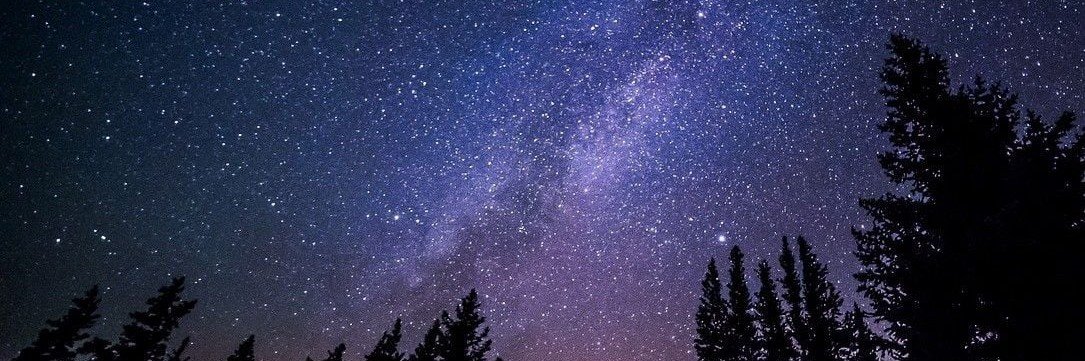 CuernaBear89's profile banner image