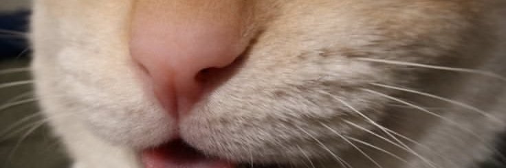 SarahMarti83de's profile banner image