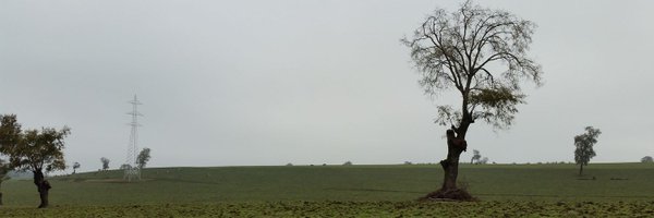 roramirez Profile Banner