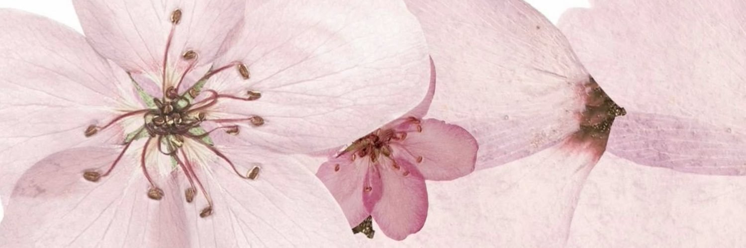 Meeilonn's profile banner image